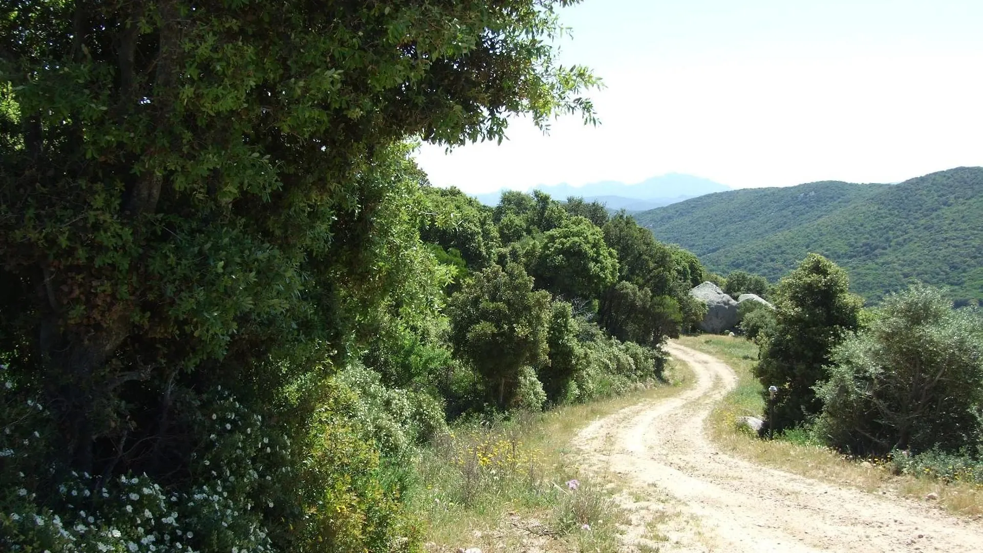Stazzo San Trano Villa Luogosanto